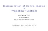 Determination of Convex Bodies by Projection Functionsweb.math.unifi.it/users/salani/workshop/talks/Weil.pdf · Theorem. If 1 ≤ i < j ≤ n − 1 and K, M are convex bodies of dimension