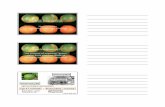 arpaia-citrus degreening 2009 - UCANRucce.ucdavis.edu/files/datastore/234-1284.pdfLemons Oranges Preharvest Factors Affecting Degreening Fruit Maturity, Tree Vigor, and Climatic Effects