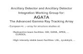 AGATA ancillary detectors and ancillary detector ...agata.pd.infn.it/documents/week9152003/AndresGadea.pdf · AGATA Ancillary detectors and ancillary detector integration working