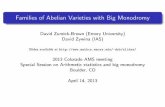 Families of Abelian Varieties with Big Monodromydzb/slides/ZBrownAmsColoradofamilies.pdf · David Zureick-Brown (Emory) Families with Big Monodromy April 14, 2013 19 / 22. Sketch