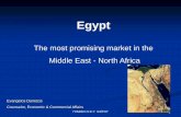 The most promising market in the Middle East - North Africa businees in Egypt.pdf · PDF file ΓΡΑΦΕΙΟ Ο.Ε.Υ. ΚΑΪΡΟΥ 7 Egypt imports 2013 value share Item $ 1000 %