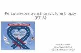 Percutaneous transthoracic lung biopsy (PTLB) · • Prediction of hemoptysis before PTNBs is important for interventional radiologists as well as for clinicians and facilitates determination