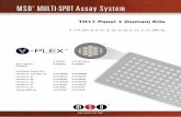 TH17 Panel 1 (human) Kits - Meso Scale/media/files/product inserts/v-plex-th1… · TH17 Panel 1 (human) Kits . IL-17A Gen. B, IL-21, IL-22, IL-23, IL-27, IL-31, MIP-3α. For use