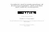 Synthesis and transformations of - UCL Discovery thesis FINAL CHANGES.pdf · Nef reaction of β-nitroamines were also unsuccessful, mainly resulting in ... giving me the opportunity