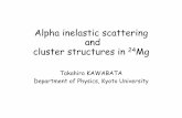 Alpha inelastic scattering and cluster structures in Mgjcnp2015/slides/session4...SC, and cover 2.5% of 4π (309 mSr). Proton- and alpha-decay channels open around the region of interest.