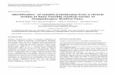Identification of metallo-b-lactamase from a clinical ... · PDF file Key words: b-lactamase , metallo-b-lactamase,Chyseobacterium indologenes, bacterial resistance,antibiotics. INTRODUCTION