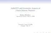 AdS/CFT and Geometric Aspects of Chern-Simons Theoriesklevtsov/Melnikov.pdf · 3 and Chern-Simons 3d Gravity S = 1 8ˇG Z d3x p g(R ) = 2 ‘2 Vacuum solution – anti de Sitter space