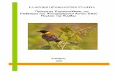 ΕΛΛΗΝΙΚΗ ΟΡΝΙΘΟΛΟΓΙΚΗ ΕΤΑΙΡΕΙΑfiles.ornithologiki.gr/docs/hcbm/HCBM_Report_2007.pdfοποίες κατατάσσονται, με βάση τα σημεία