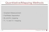 Quantitative/Mapping Methods - Stanford · PDF file Quantitative/Mapping Methods • Gradient Measurement • Fat/Water Separation • B0 and B1 mapping • T1, T2 and T2* mapping