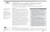 ORIGINAL ARTICLE α-Conotoxin Vc1.1 inhibits human dorsal ...pcpr.pitt.edu/wp-content/uploads/2016/07/Castro-et-al-2017.pdf · Joel Castro,1 Andrea M Harrington,1 Sonia Garcia-Caraballo,1