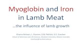 Myoglobin and Iron in Lamb MeatMyoglobin and Iron in Lamb Meat …the influence of lamb growth Khama Kelman, L. Pannier, D.W. Pethick, G.E. Gardner School of Veterinary and Life Sciences,