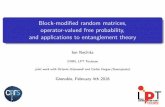 Block-modified random matrices, operator-valued free ... · Block-modi ed random matrices, operator-valued free probability, and applications to entanglement theory Ion Nechita CNRS,