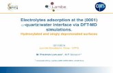 Electrolytes adsorption at the (0001) -quartz/water ...hebergement.u-psud.fr/simuchimie/wp-content/... · 12/11/2014 Electrolytes adsorption at the (0001) -quartz/water interface