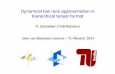 Dynamical low rank approximation in hierarchical tensor format · 2013-07-25 · Summary and some open questions IManifold approach, in particular tangent space representation, allowstreatment