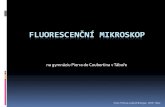 Fluorescenční mikroskopZapůjčený fluorescenční mikroskop Olympus CX21 s LED Fluorescent Illuminator Pozn. výrazně levnější varianta fluorescenčního mikroskopu kde je