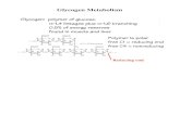 Glycogen Metabolism - jksoukup/lec20glycogen2009.pdf Glycogen Metabolism Glycogen Synthesis Want to