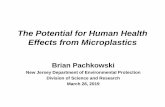 The Potential for Human Health Effects from Microplastics · 2019-04-17 · Persorption (mechanical kneading) 0.1 – 10 µm. Toxicokinetics - Distribution. Assuming microplastics