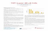 THP1-Lucia NF-κB Cells - InvivoGen€¦ · SAFETY CONSIDERATIONS Biosafety Level 1 HANDLING PROCEDURES Required Cell Culture Medium •Growth Medium: RPMI 1640, 2 mM L-glutamine,