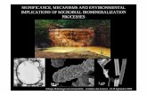 SIGNIFICANCE, MECANISMS AND ENVIRONMENTAL IMPLICATIONS OF MICROBIAL BIOMINERALIZATION ... · 2009-11-09 · 200 nm 200 nm 1 μm SIGNIFICANCE, MECANISMS AND ENVIRONMENTAL IMPLICATIONS