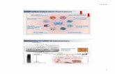 VWF other roles than hemostasism.docente.unife.it/francesco.bernardi/basi... · 6 How does VWF control angiogenesis? Intracellular pathway: • VWF is stored in WPBs, which also contain