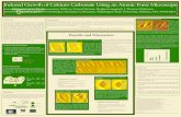 Induced Growth of Calcium Carbonate Using an Atomic Force ... jtd/presentations/ann/  · PDF file spontaneous growth can still be produced. The scanning induced growth rate does not