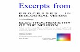 ELECTROCHEMISTRY OF THE NEURON · 2018-10-19 · ELECTROCHEMISTRY OF THE NEURON This material is ex cerpted from the full β-version of the text. The final printed version will be