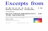 ELECTROCHEMISTRY OF THE · PDF file Reading & Recognition 19- 3 6Lamme V. & Roelfsema, P. (2000) The distinct modes of vision offered by feedforward and recurrent processing Trends