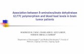 Association between δ-aminolevulinate dehydratase G177C … · 2016-06-17 · Association between δ-aminolevulinate dehydratase G177C polymorphism and blood lead levels in brain