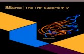 RnDSy-lu-2945 The TNF Superfamily€¦ · Other TNF superfamily receptors that lack DDs bind TNF receptor-associated factors (TRAFs) and activate multiple intracellular signaling