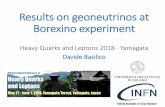 Results on geoneutrinos at Borexino experiment â€¢Direct messengers of the abundances of radioactive