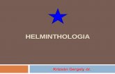 Általános és részletes parazitológia II.: Helminthologia · Bevezetés Parazitologia = Protozoologia + Helminthologia (+ Entomologia) Kórokozó csoport Mérettartomány Sejtszerveződés