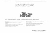 Technical Information Proline Promag 10P€¦ · • Promag 10 (key operation, two-line, unilluminated display) Sensor: • Promag P (DN 25 to 600 / 1 to 24") Input Measured variable