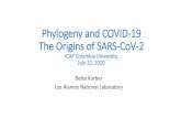 Phylogeny and COVID-19 The Origins of SARS-CoV-2and coronavirus from Palm Civets . Song et al., PNAS 102:2430 (2005) Human, 2002/3. Palm Civet 03 Human, 2003/4, GZ Palm Civet 04, GZ