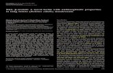 BEL β-trefoil: A novel lectin with antineoplastic ...€¦ · BEL β-trefoil: A novel lectin with antineoplastic properties in king bolete (Boletus edulis) mushrooms Michele Bovi2,