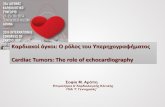 Cardiac Tumors: The role of echocardiographystatic.livemedia.gr/hcs2/documents/al11531_us41... · 21 16 11 6 4 3 3 1 1 1 0 0 33 0 11 0 0 0 11 0 0 0 44 0 66 0 33 0 0 0 0 0 0 0 0 95%