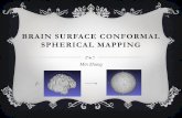 BRAIN SURFACE CONFORMAL SPHERICAL MAPPINGpaupert/Zhangslides.pdf · 2013-10-18 · THEOREM Maps of genus zero Riemannian Surfaces are conformal iff. they are harmonic Proof can be