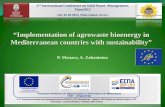 “Implementation of agrowaste bioenergy in Mediterranean …uest.ntua.gr/tinos2015/proceedings/pdfs/manara... · 2015-09-07 · Applied & basic research concerning the thermochemical