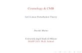 Cosmology & CMB · 2011-07-28 · Cosmology & CMB Set3:Linear Perturbation Theory Davide Maino Universit`a degli Studi di Milano ISAPP 2011 Ph.D. School. Covariant Perturbation Theory