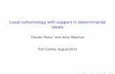 Local cohomology with support in determinantal …Local cohomology with support in determinantal ideals Claudiu Raicu and Jerzy Weyman Fort Collins, August 2013 Resolutions Example