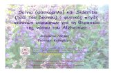 Salvia (φασκόμηλο) και Sideritis (τσάι του βουνού ... · 2015-05-20 · και ότι επιταχύνει τη λειτουργία του νευρικού