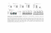Figure S1. Increasing insulin signaling in osteoblasts …dm5migu4zj3pb.cloudfront.net/manuscripts/72000/72323/JCI...150 Figure S1. Increasing insulin signaling in osteoblasts weakens
