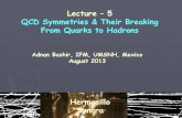 Lecture 5 QCD Symmetries & Their Breaking From Quarks to …paginas.fisica.uson.mx/eff.2013/BASHIR-Lecture-5.pdf · What Next? • The static properties of low lying hadrons can be