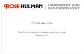 Prostaglandins - Rose–Hulman Institute of Technologybrandt/Chem430/11_Prostaglandins.pdf · Prostaglandins (Let’s perturb pathways and see what happens!) Production “Particle