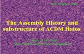 The Assembly History and substructure of ΛCDM Halosswhite/talk/MIT05.pdf · Helmi, White & Springel 2002 Phys.Rev.D. 66, 3502 Dark matter annihilation in the halo of the Milky Way