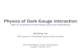 Physics of Dark Gauge Interaction (KPS 2016 spring Open KIAS)home.kias.re.kr/MKG/upload/OPENKIAS/Physics_of_Dark_Gauge_Inte… · Lessons from the history Establishment of the SU(2)L×U(1)Y