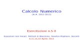 Calcolo Numericopasca/corso/slides/...Calcolo Numerico (A.A. 2012-2013) Esercitazioni n.5-8 Equazioni non lineari: Metodi di Bisezione, Newton-Raphson, Secanti 9,11,16,18 Aprile 2013