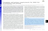 Template and primer requirements for DNA Pol θ-mediated end … · However, both NHEJ and Alt-NHEJ pathways depend on complementary bases between 3′ overhangs (10, 11), and the