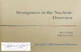 Strangeness in the Nucleon: Overview · Chiral Perturbation Theory KNOWN: Low-energy behaviour UNKNOWN: Short distance effects Low-energy constants ms!M N!ms = 113± 108MeV Borasoy