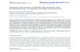 Genetic Correction of Sickle Cell Anemia and -Thalassemia ... · PDF file Perumbeti/Malik: Genetic Correction of Sickle Cell Anemia and β-Thalassemia TheScientificWorldJOURNAL (2010)