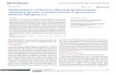 Optimization of factors affecting Agrobacterium-mediated ...medcraveonline.com/APAR/APAR-08-00327.pdfvitamins, 19 100 mg/L myo- ... Otimiation of factor affectin roacterimmediated
